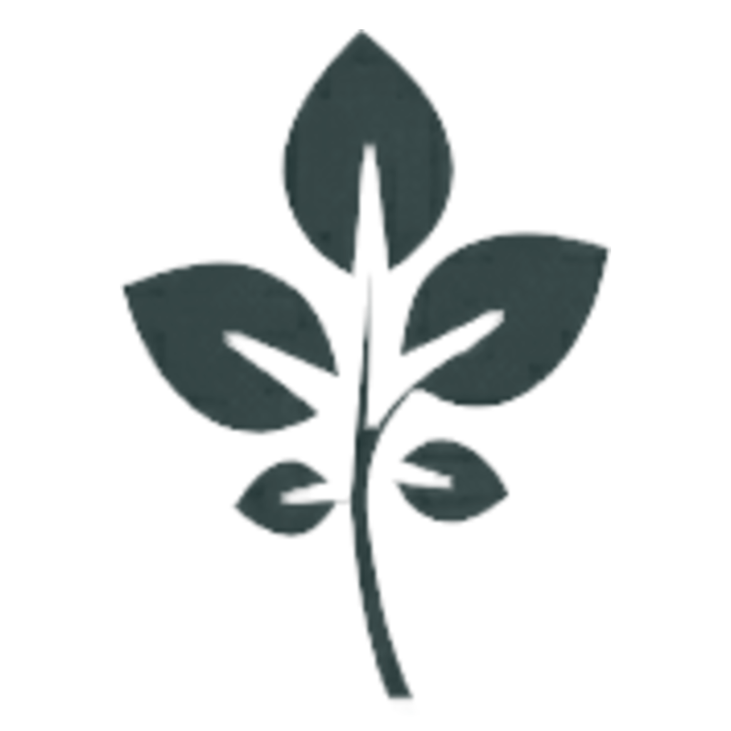 GrapeVine Social Logo